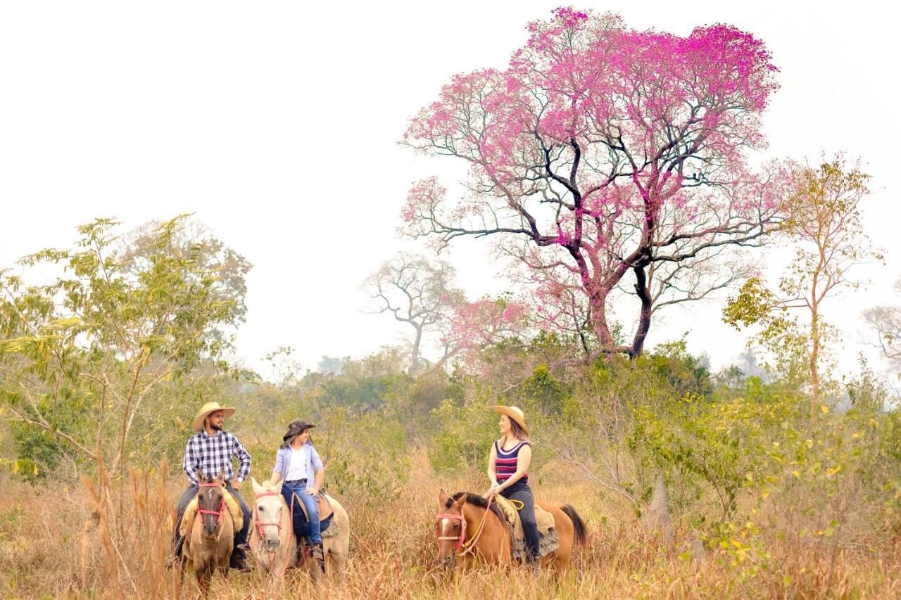 Hotel Pantanal Mato Grosso Poconé Eksteriør billede