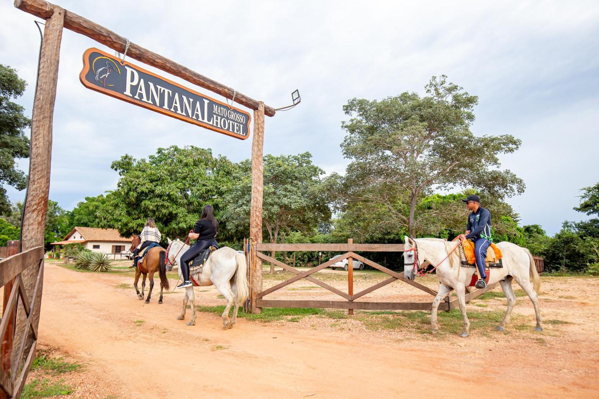 Hotel Pantanal Mato Grosso Poconé Eksteriør billede