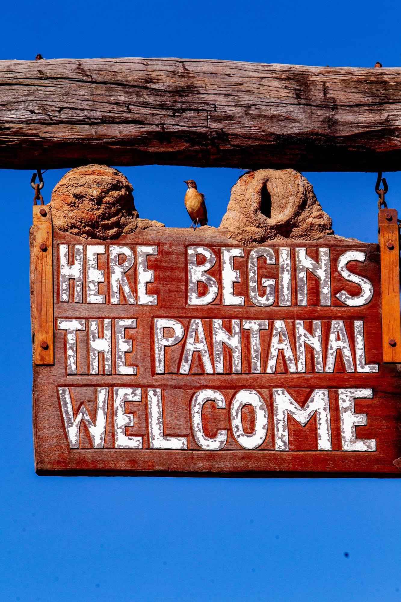 Hotel Pantanal Mato Grosso Poconé Eksteriør billede