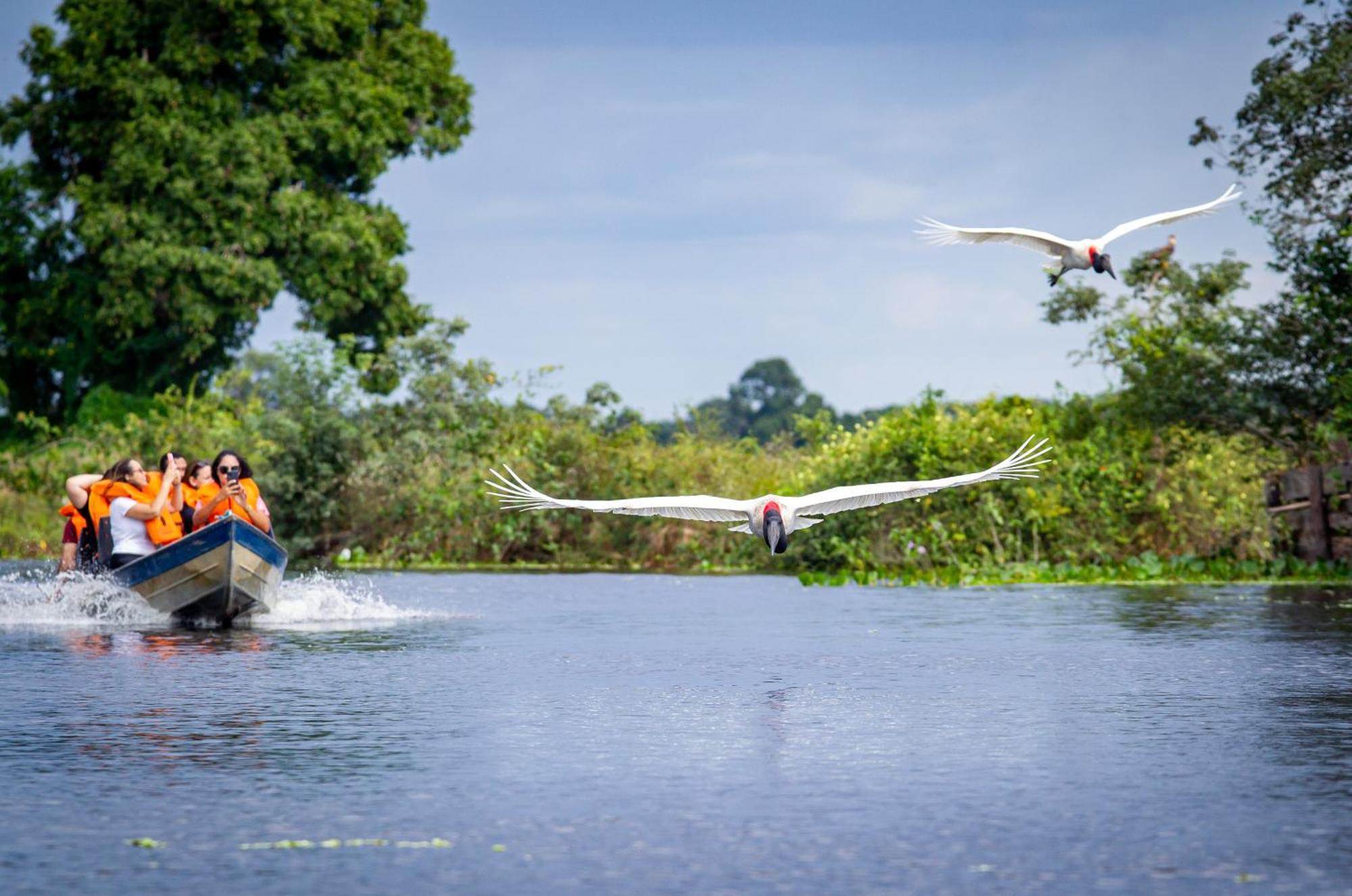 Hotel Pantanal Mato Grosso Poconé Eksteriør billede